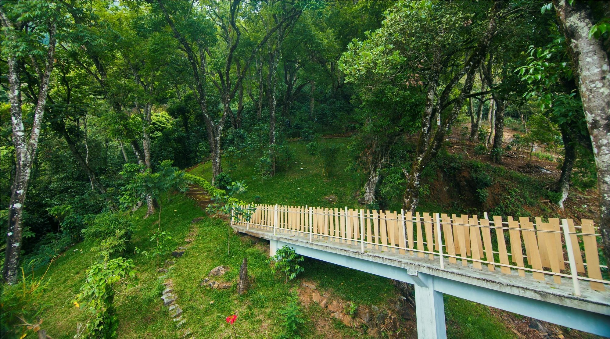 Forest Glade Resorts Chithirapuram Εξωτερικό φωτογραφία